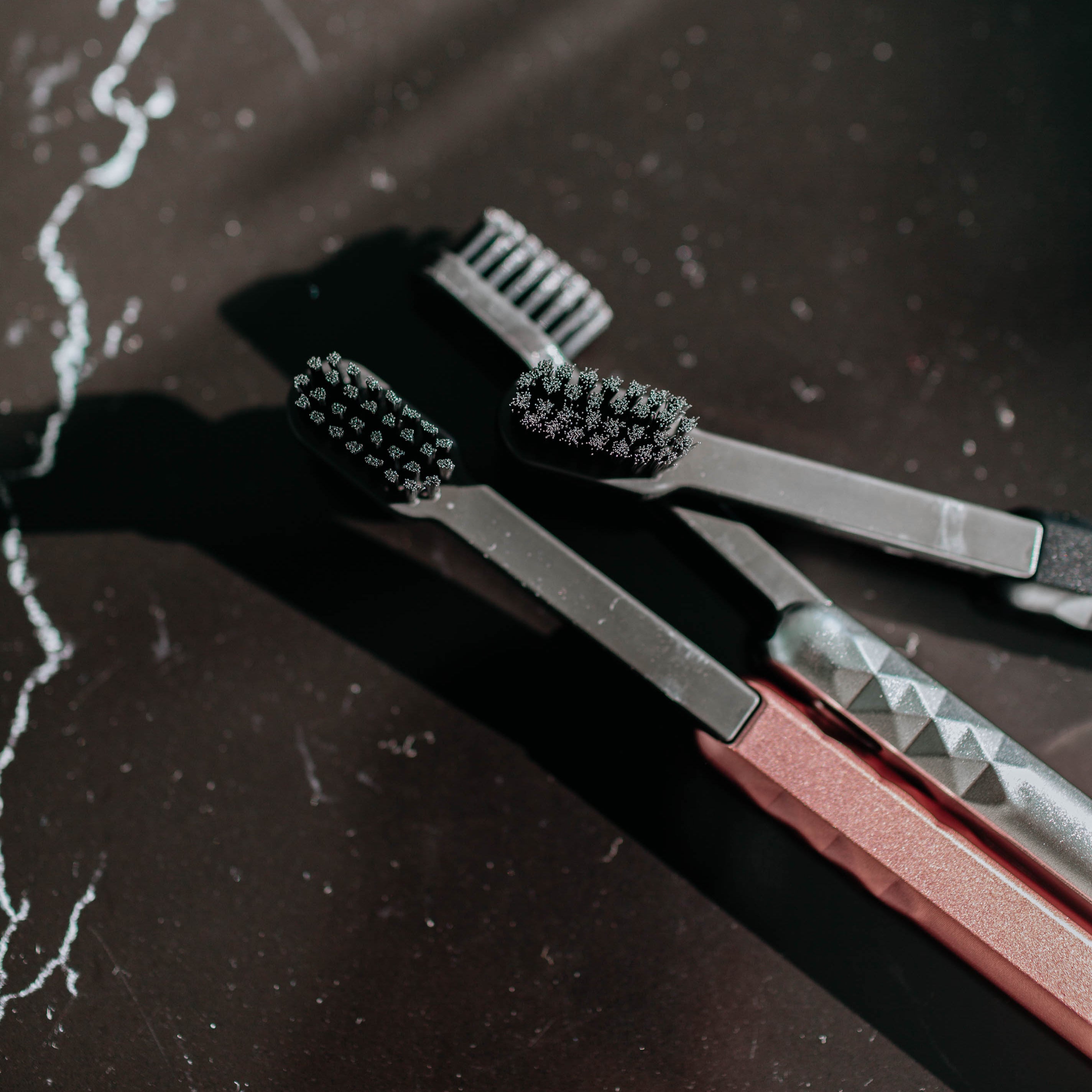 Starter Kit close up of Biodegradable Brush